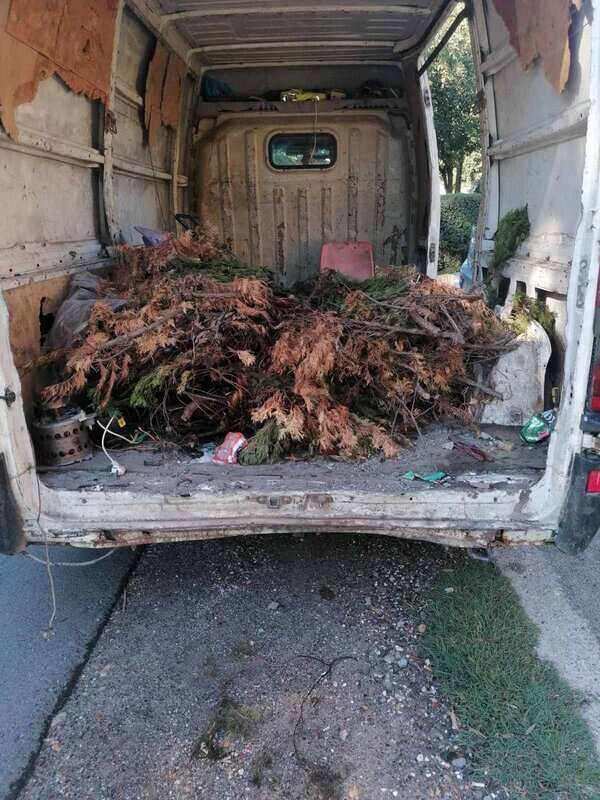 Odnošenje granja i bio otpada kombijem